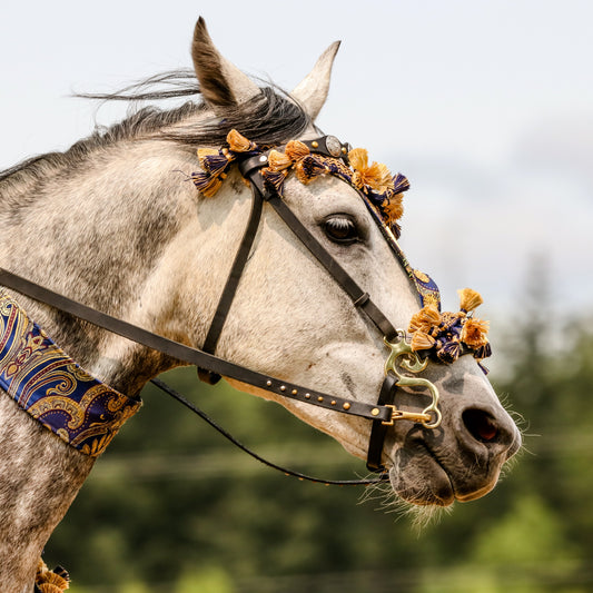 Grey horse with yellow flowers on the brow band